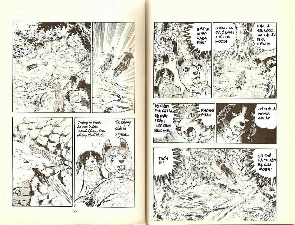 chú chó có nghĩa - ginga nagareboshi gin chapter 13 13
