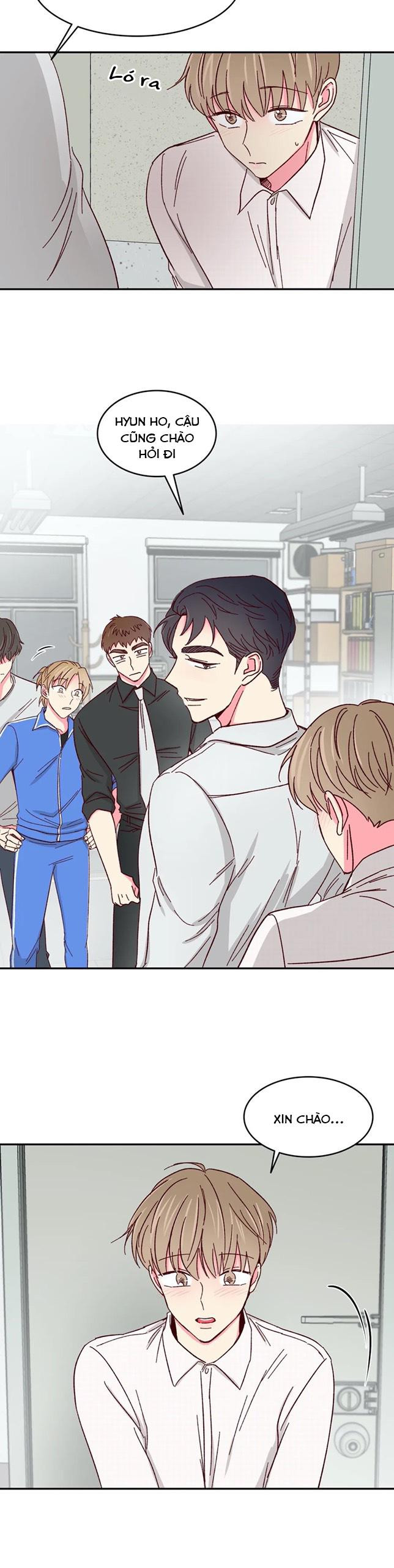 món tráng miệng của sếp tổng chapter 51 13