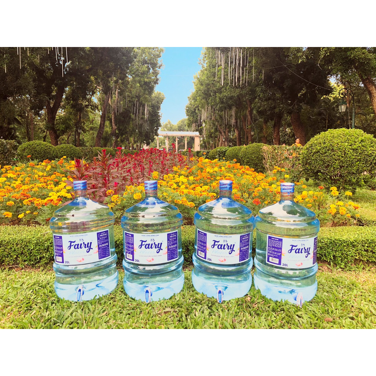 4 Bình nước lọc Fairy Water (20 lít) Không Vòi