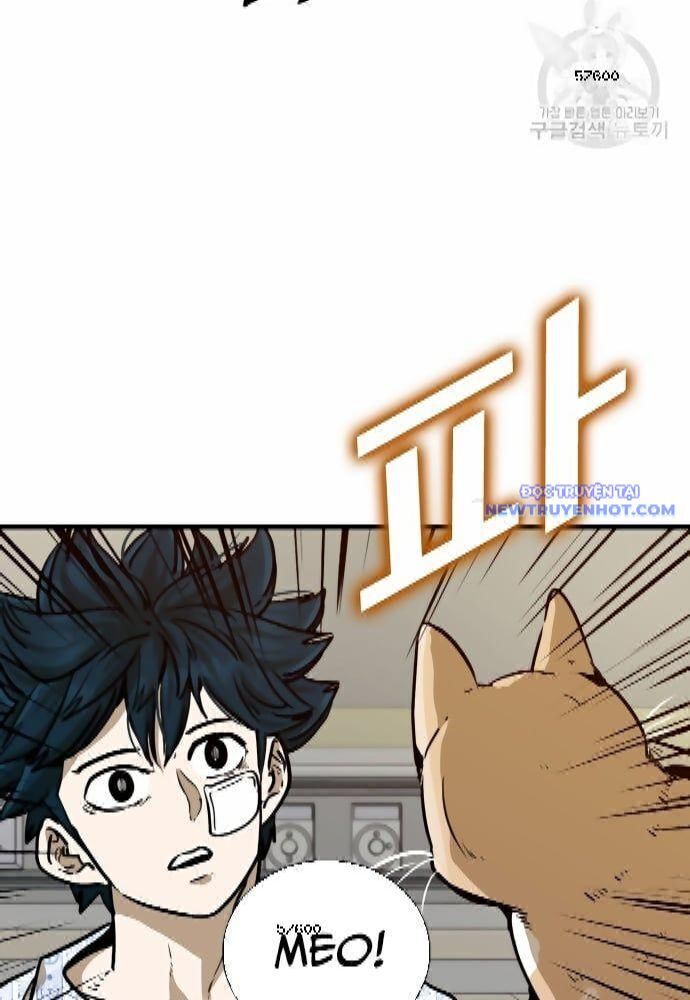 shark - cá mập chapter 295 16