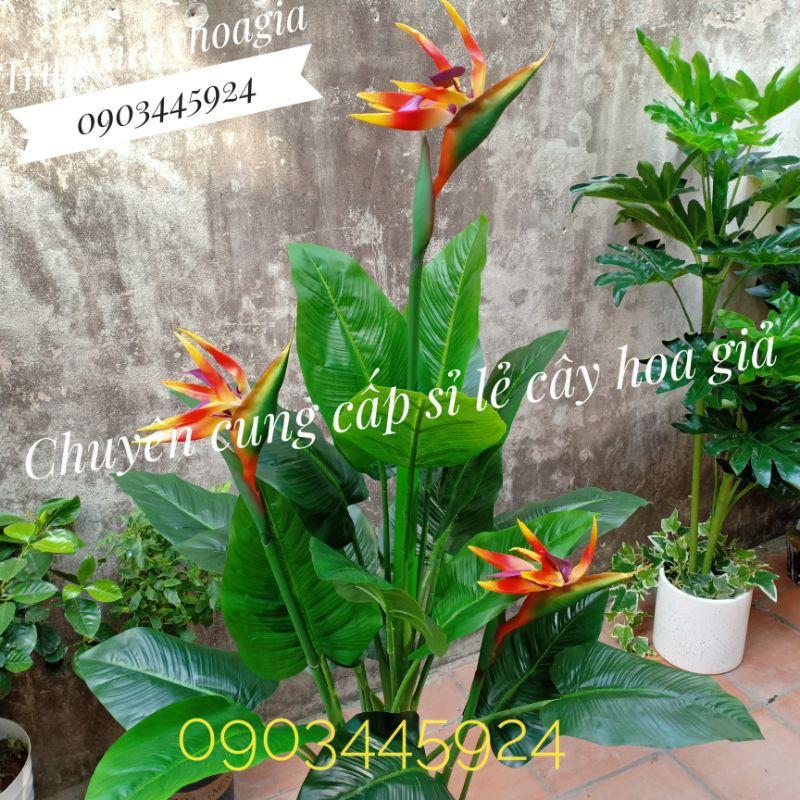Cây Thiên Điểu 3 Nhánh cao 1m45 -Cây Giả