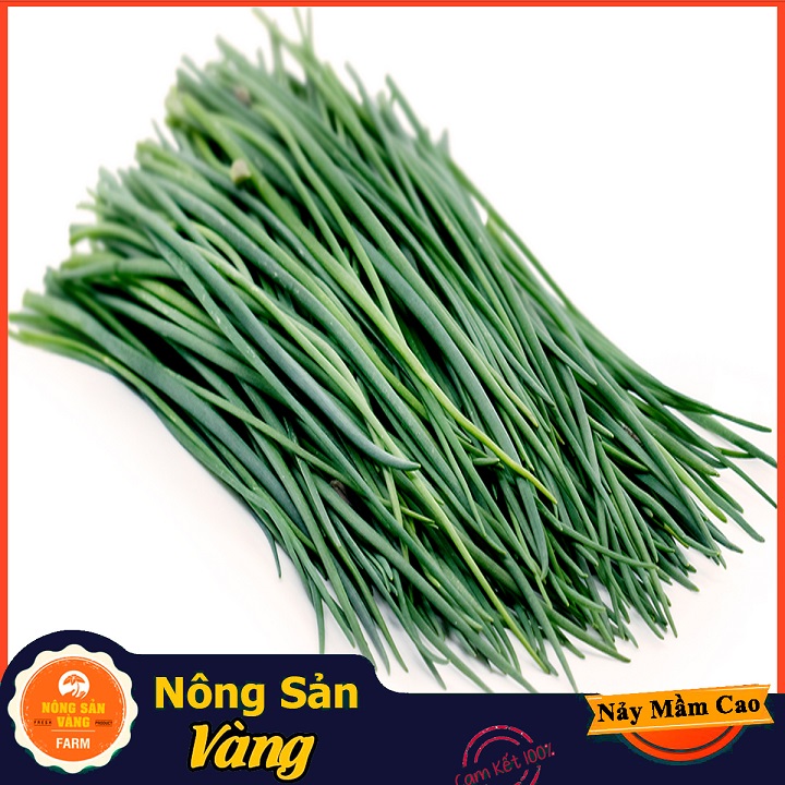 Hạt giống Rau Hẹ Ta ( Gói 1 Gram ) - Nông Sản Vàng