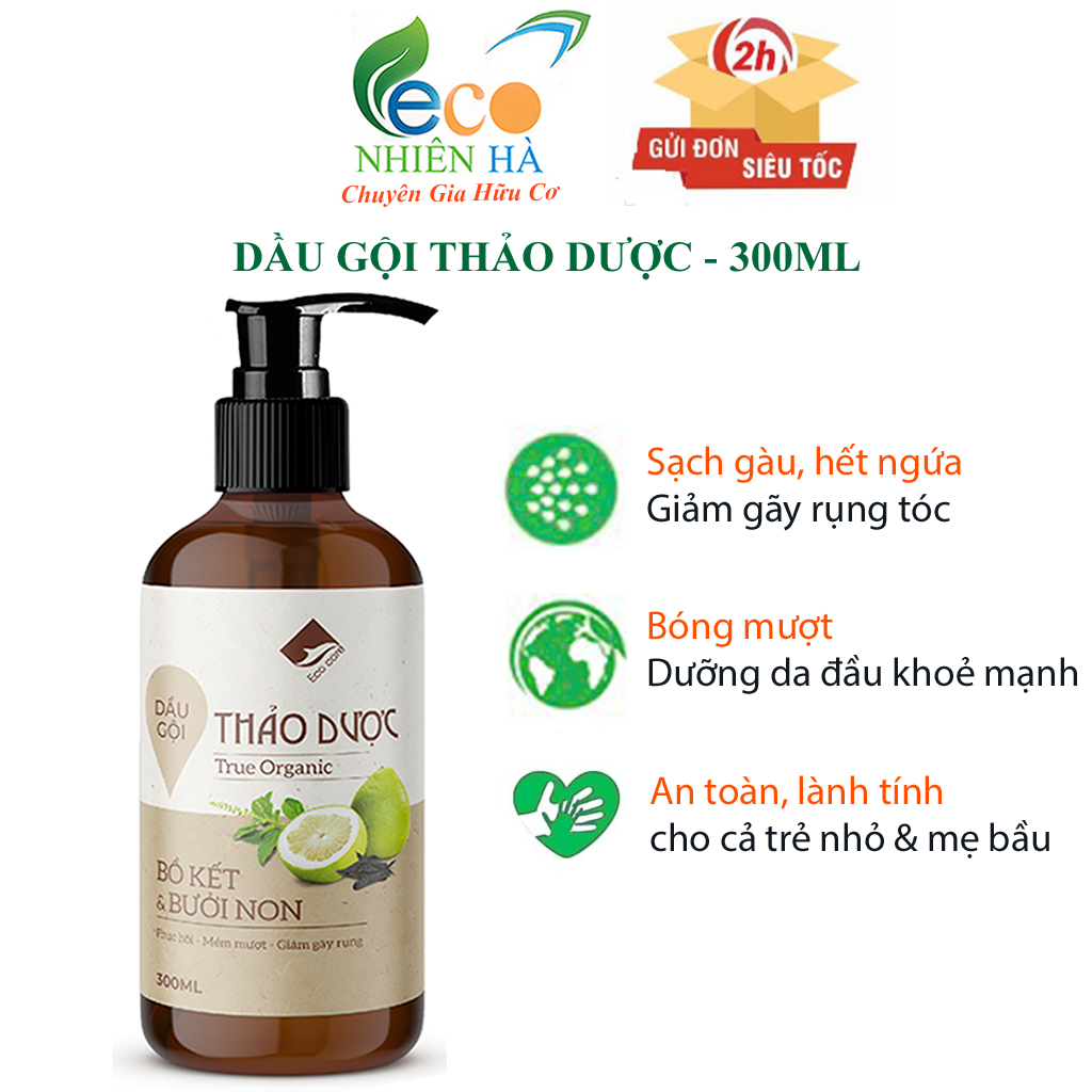 Combo dầu gội thảo dược dầu xả tóc ECOCARE 300ml, sạch gàu, suôn mượt, giảm gãy rụng