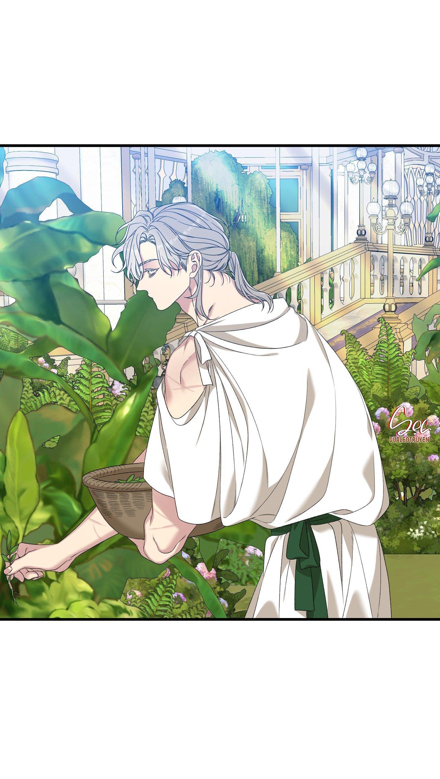 smyrna và capri chapter 54 12