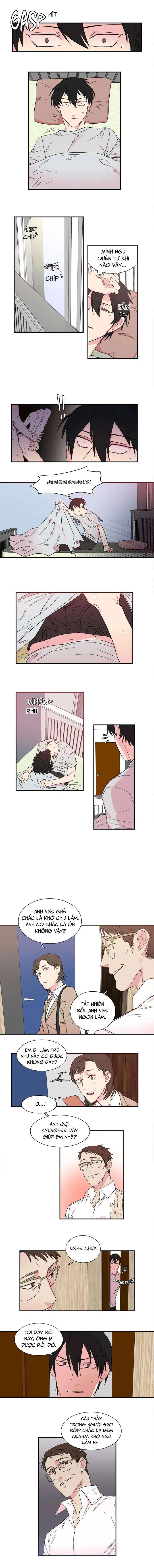 bố đường chapter 11 3