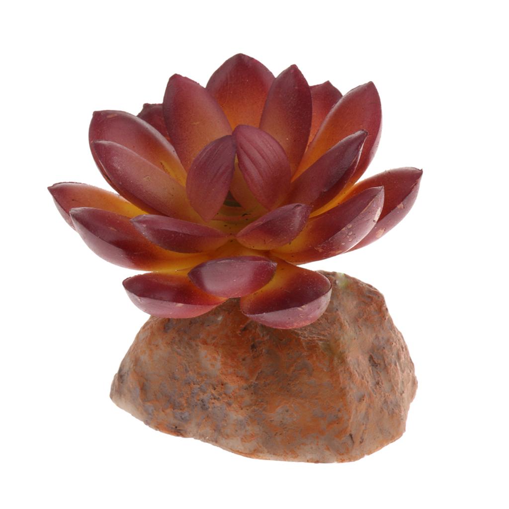 2x Reptile Terrarium Vivarium Ornament Desert Plant with Rock Base Decor