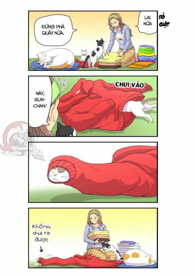 cat is silver vine chapter 9 7