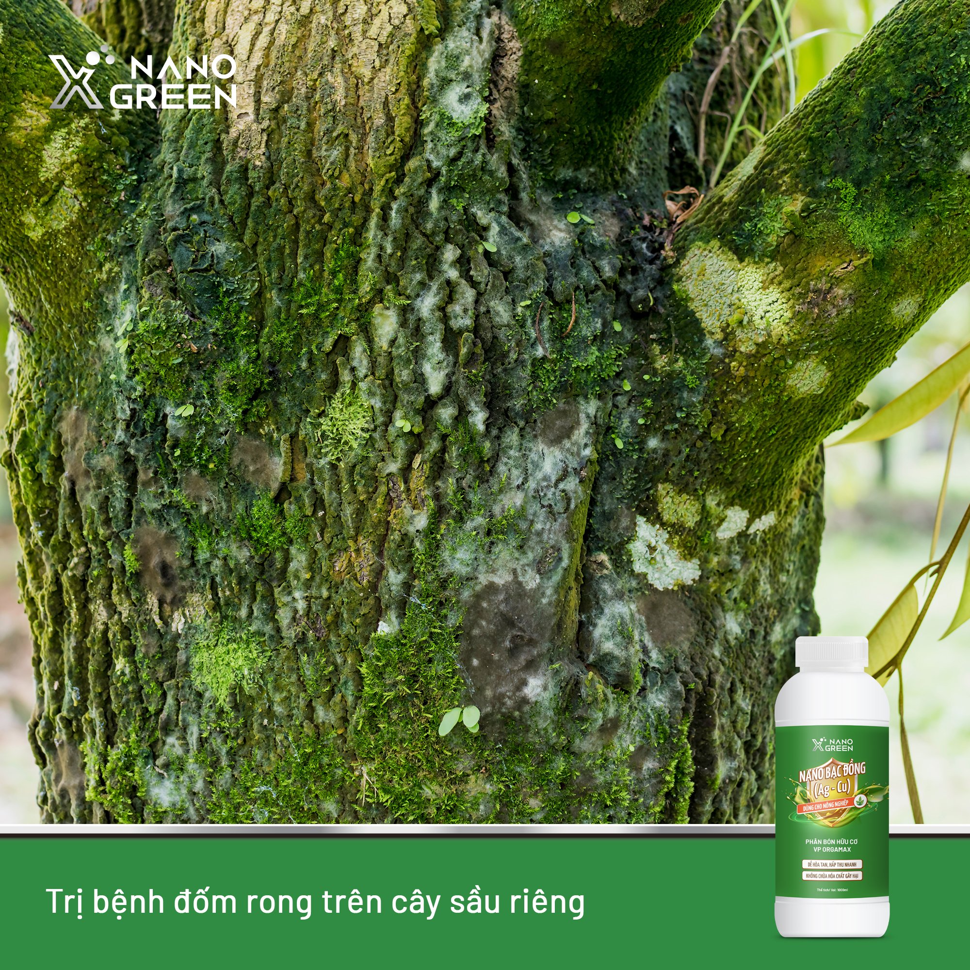 NANO BẠC ĐỒNG (Ag-Cu) PHÂN BÓN NANO XGREEN NÔNG NGHIỆP 1000ML HẠN CHẾ NẤM, KHUẨN, BỆNH VÀNG LÁ, THỐI RỄ, XÌ MỦ THÂN-AHT CORP