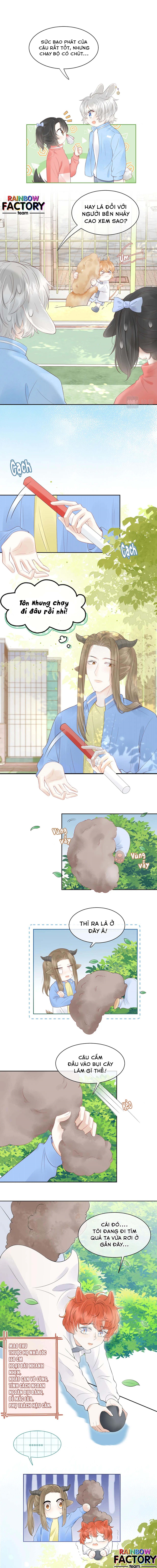 ăn một bé thỏ chapter 41 6