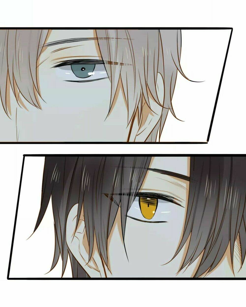 điều giáo quan hệ chapter 18 34