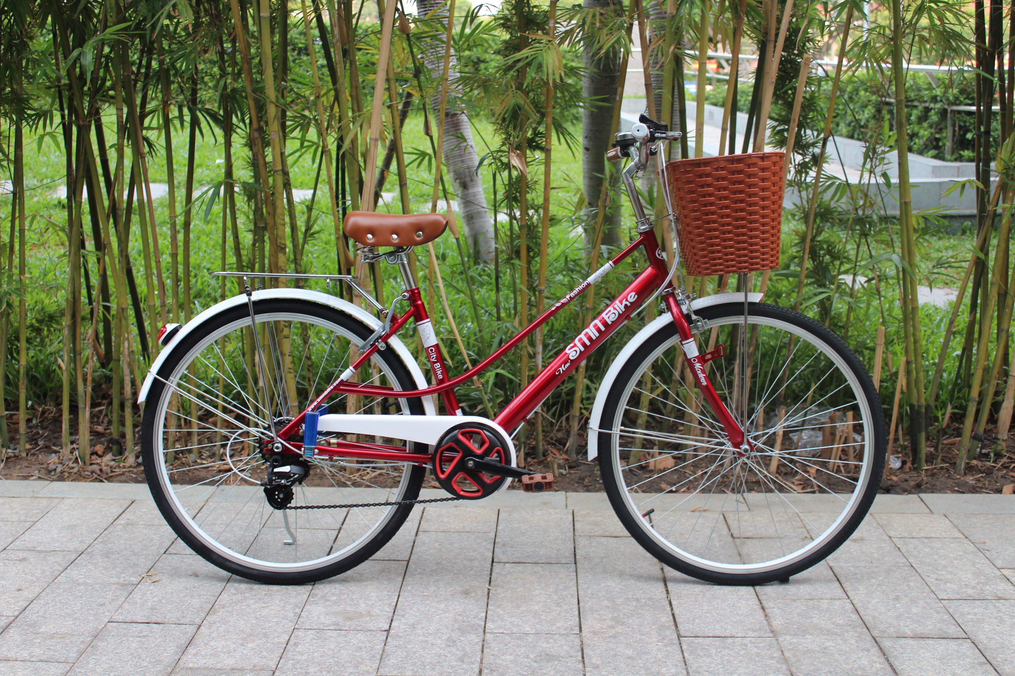 Xe đạp đường phố SMNBike V 26-24 - 26 inch ( cao trên 167cm )