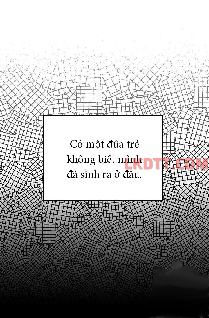 đừng xem thường nữ phụ chapter 117 12