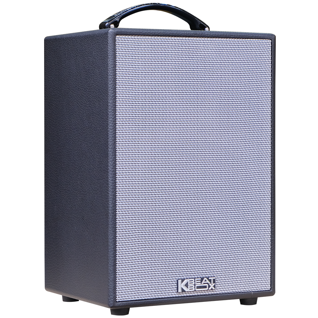Dàn âm thanh di động xách tay ACNOS CS141