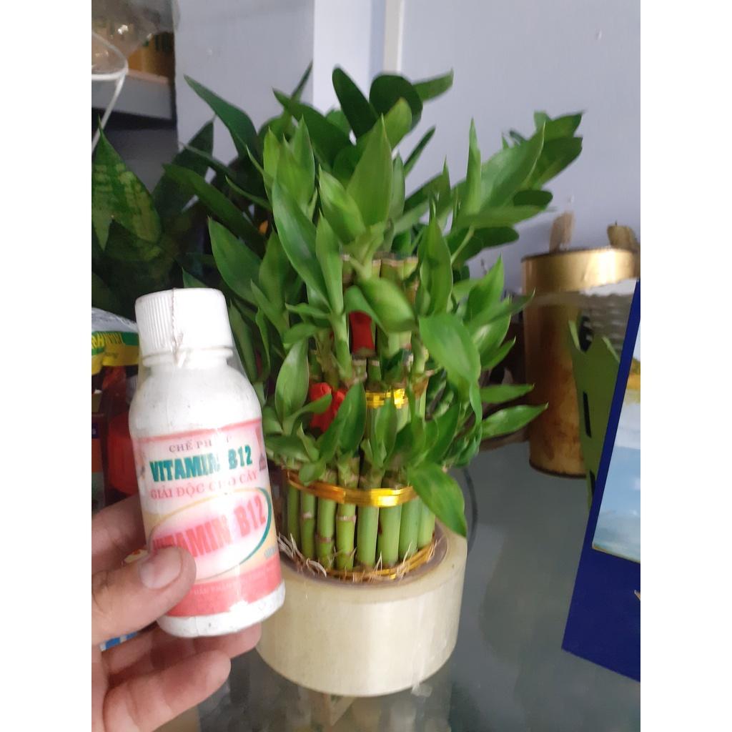 Chế phẩm giải độc cho cây Vitamin B12