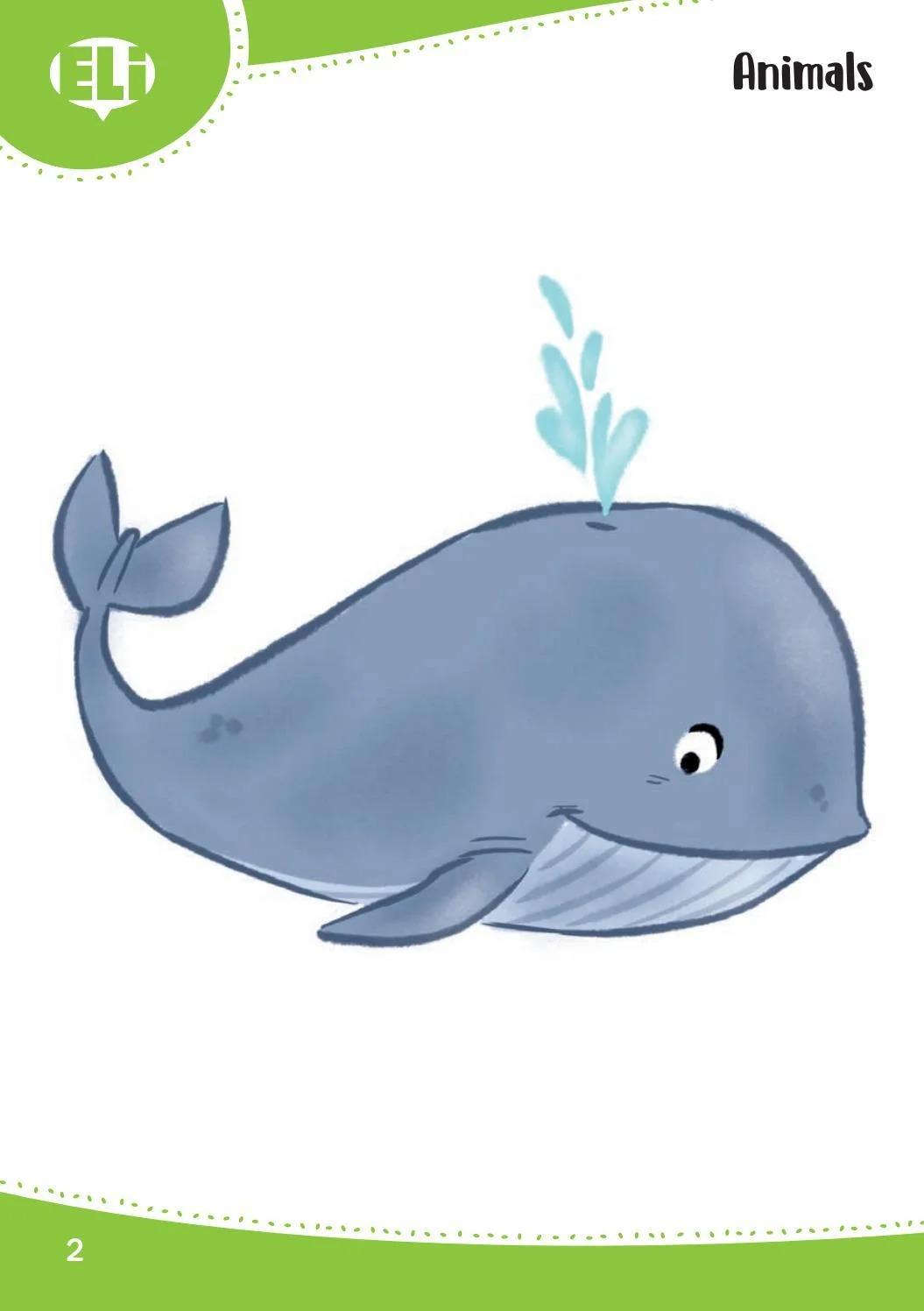 Sách ngoại văn: Words In Pictures (Printed Flashcards With Digital Code)