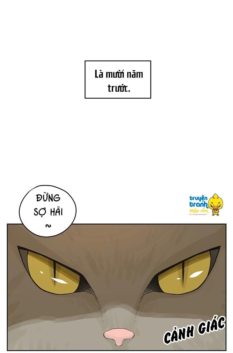 cứu mạng ! loài mèo thống trị thế giới rồi ! chapter 24 6