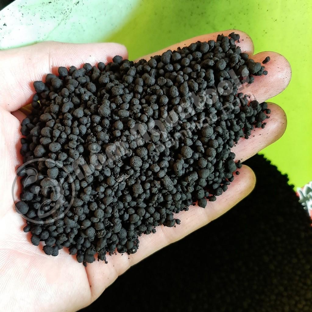 Phân nền GEX xanh | Phân nền Nhật Bản cho bể thuỷ sinh