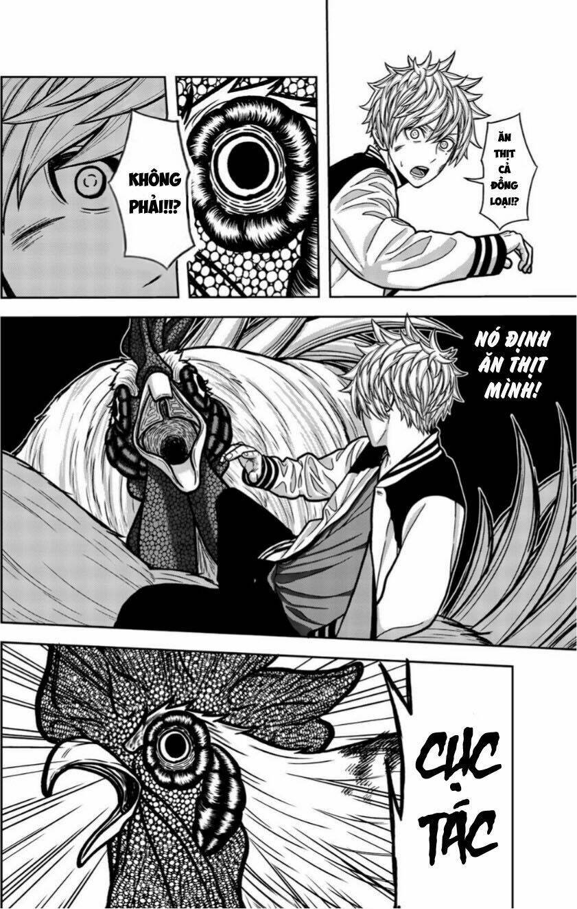 tiếng gáy sát thủ chapter 15 4