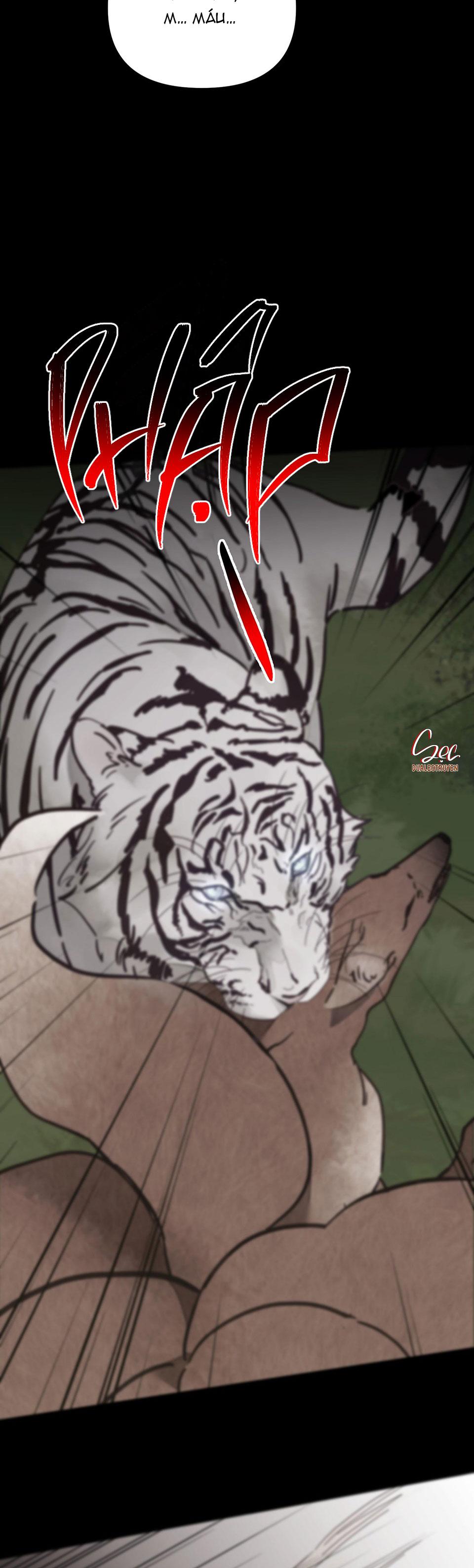 hổ trở về chapter 33 10