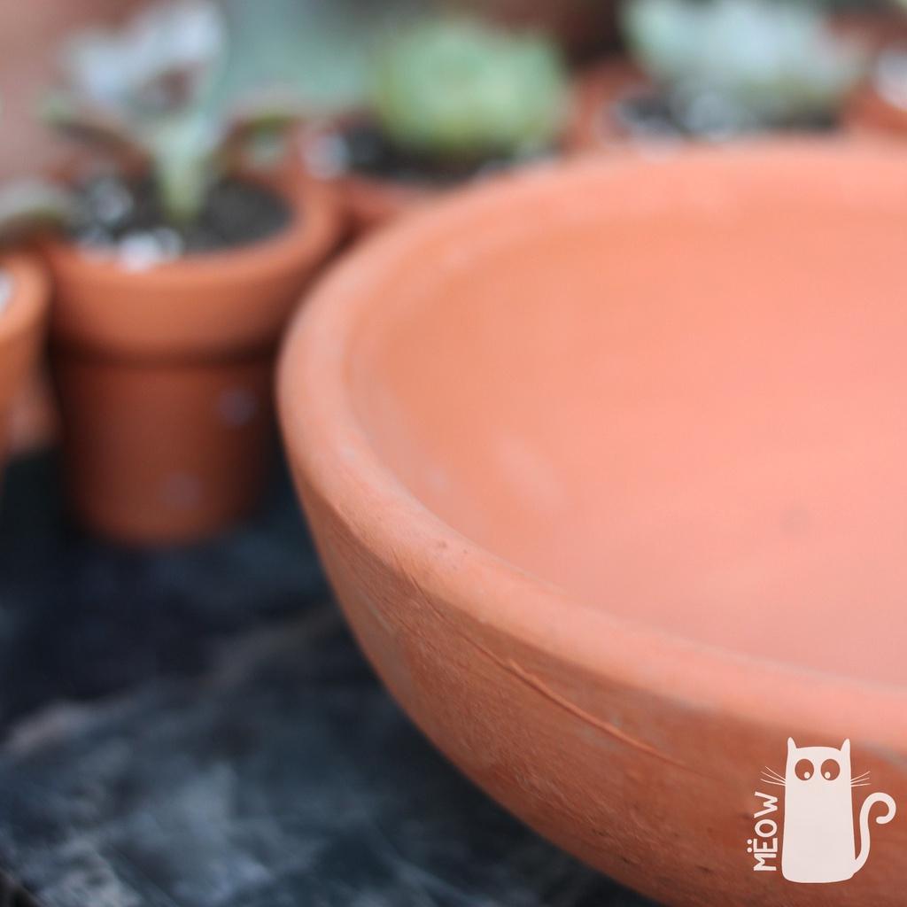 COMBO 5 chậu đất nung Chảo lớn 17x6cm