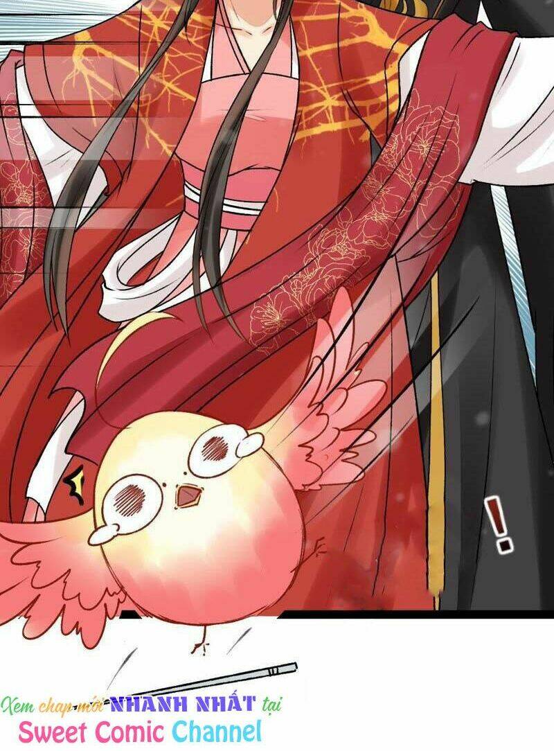 thịnh sủng kiều nữ trở về triều ca chapter 28 12