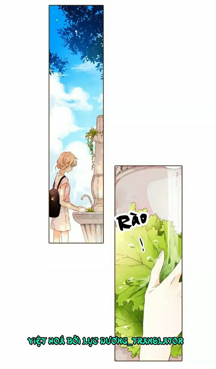Tình yêu là màu hoa anh thảo chapter 28.1 28