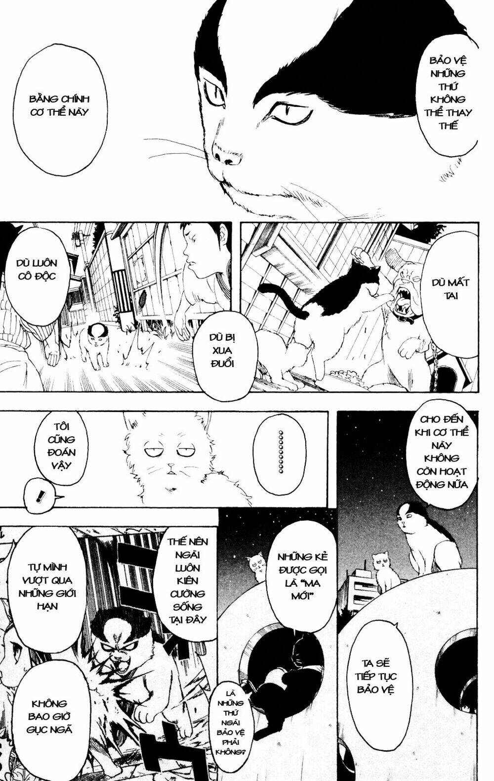 gintama - linh hồn bạc chapter 277 14