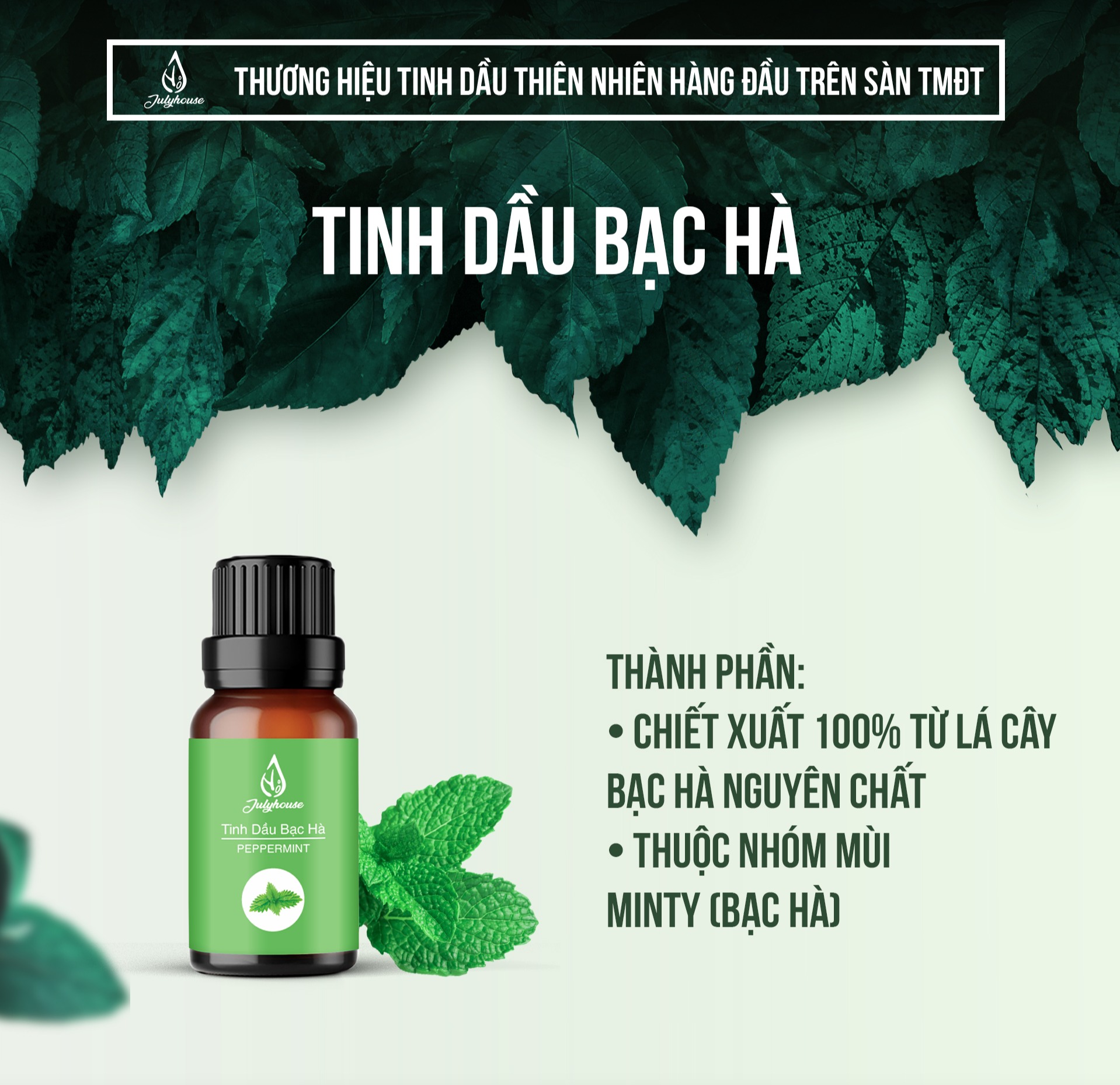 Tinh dầu Bạc Hà 50ml JULYHOUSE