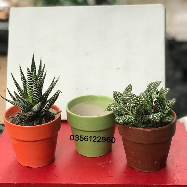 Chậu sứ bát tràng màu tuỳ chọn kt 7cm