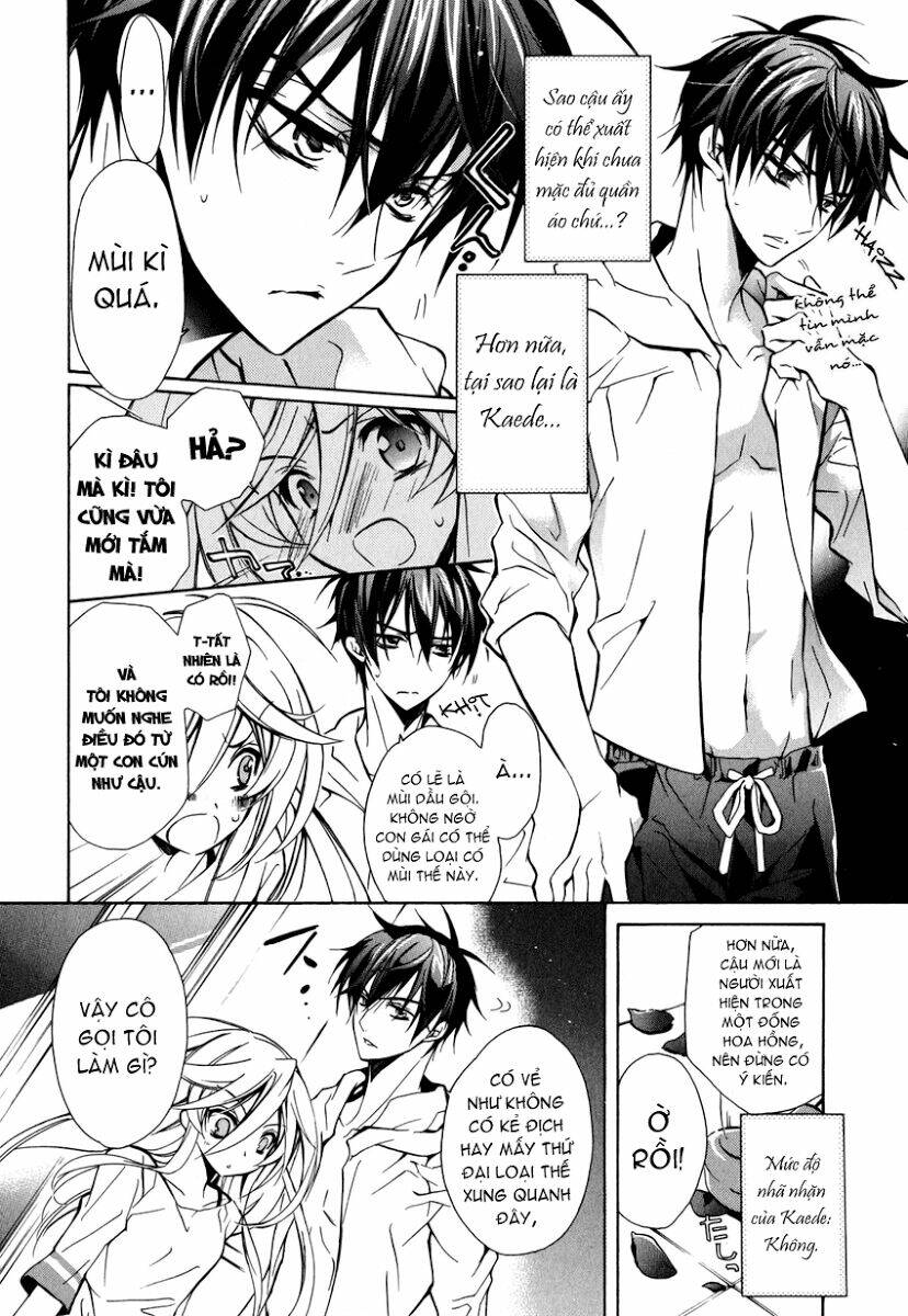 nụ hôn của công chúa tường vi chapter 12 6