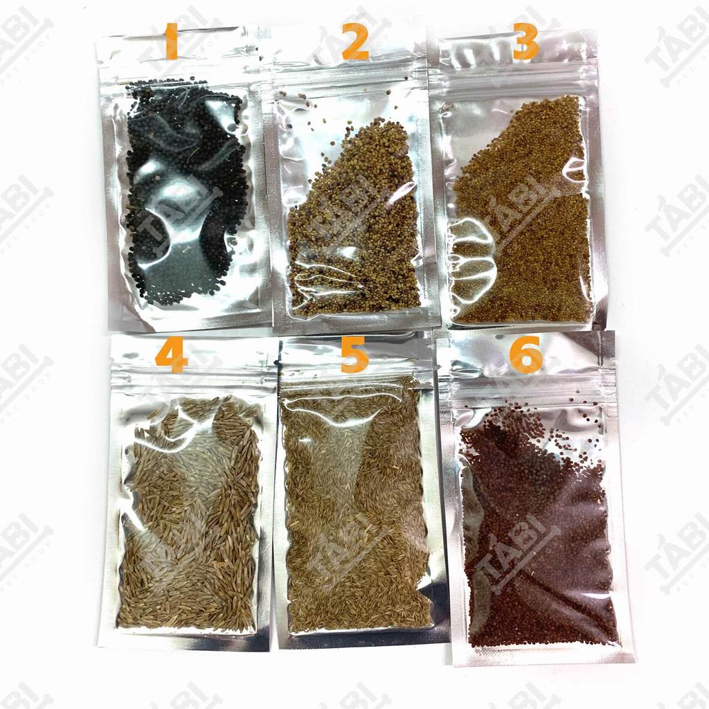 Hạt Giống Thuỷ Sinh - Cây Trồng Thuỷ Sinh