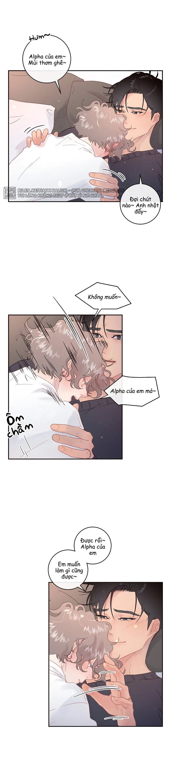 làm cách nào để theo đuổi một alpha? chapter 56 2