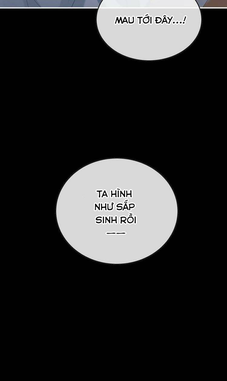 kiều phu có hỉ chapter 50 41