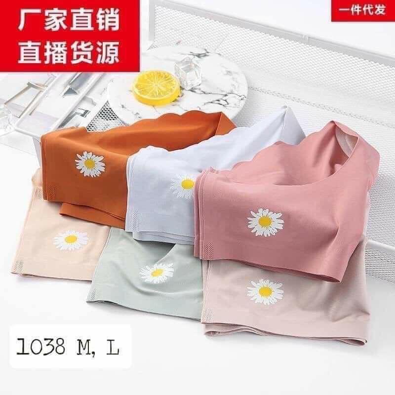 SÉT 5 QUẦN LÓT SU HOA CÚC KHÔNG ĐƯỜNG VIỀN