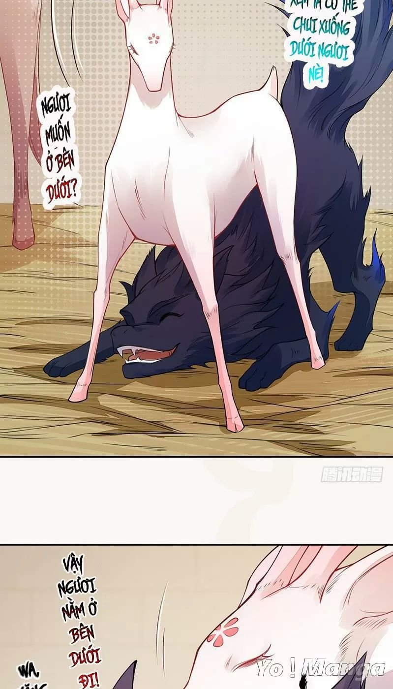 tuyệt thế luyện đan sư chapter 120 30