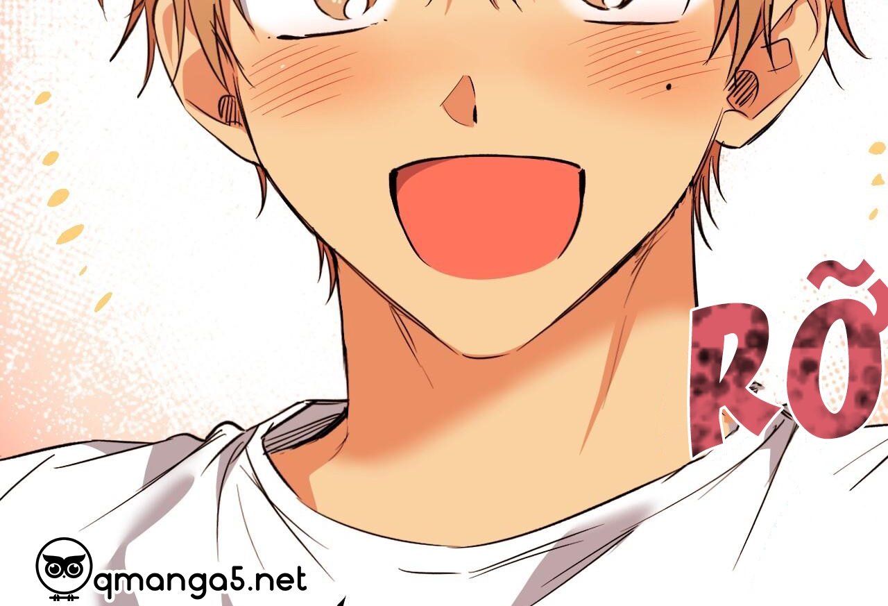 những chú thỏ của hapypy chapter 61 147