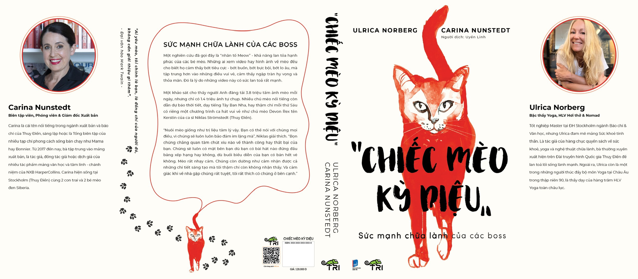 Sách - Chiếc Mèo Kỳ Diệu - Ulrica Norberg &amp; Carina Nunstedt - Tuệ Tri