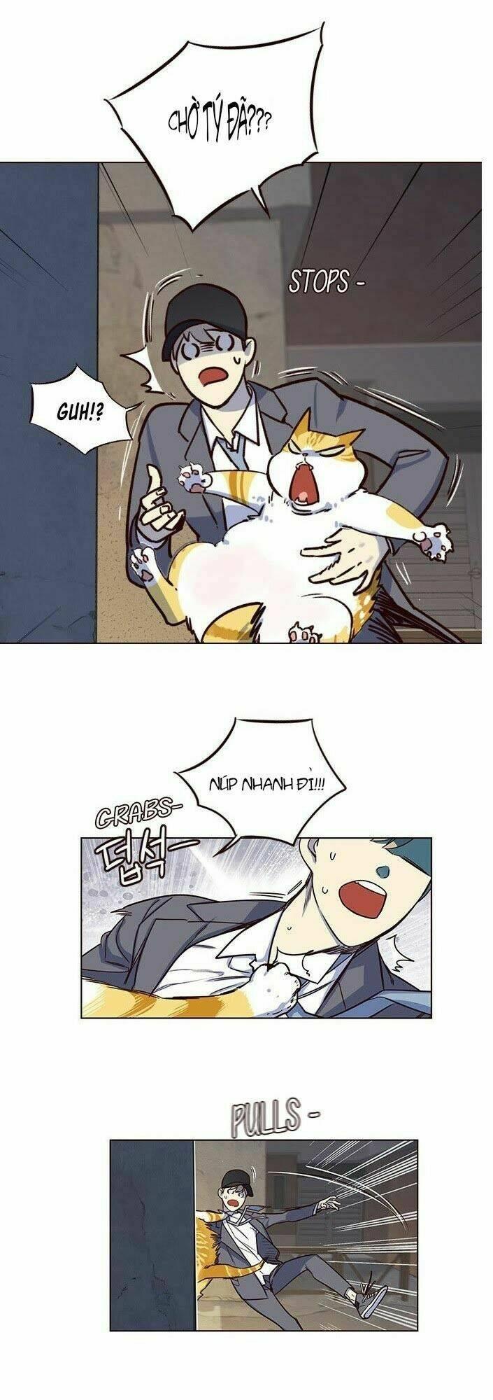 biến thân thành mèo chapter 5 18