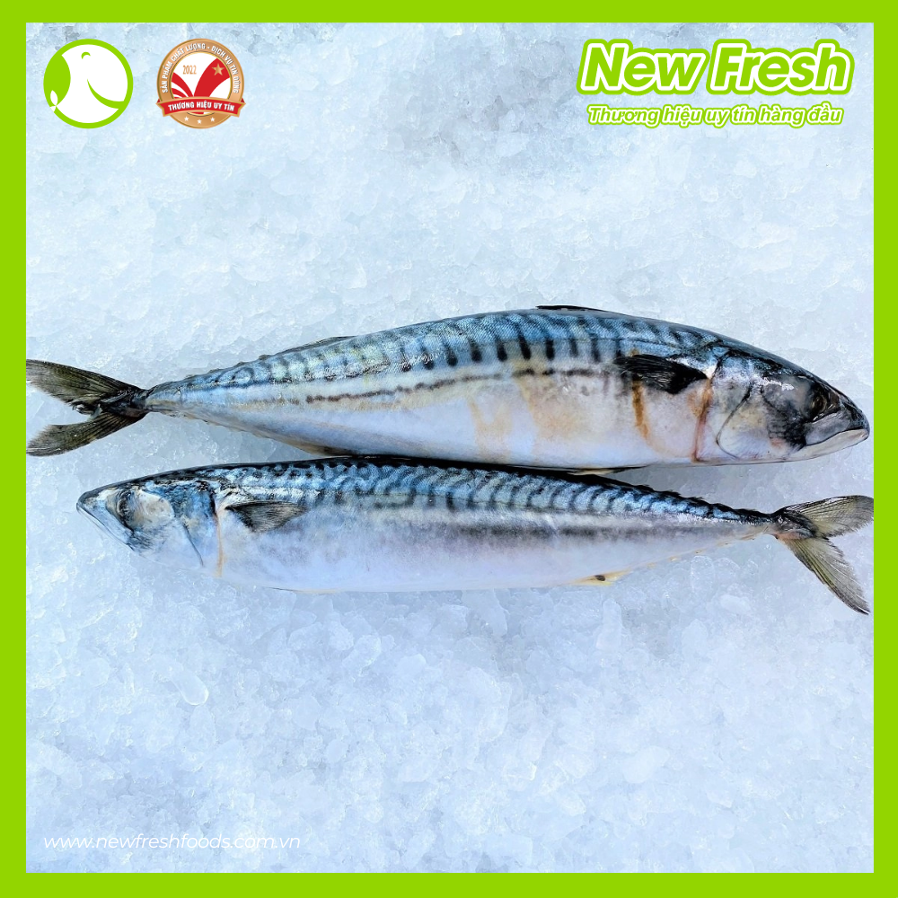 Cá Saba Nauy Nguyên Con Thịt Thơm Ngon Béo Ngậy - Túi 1Kg