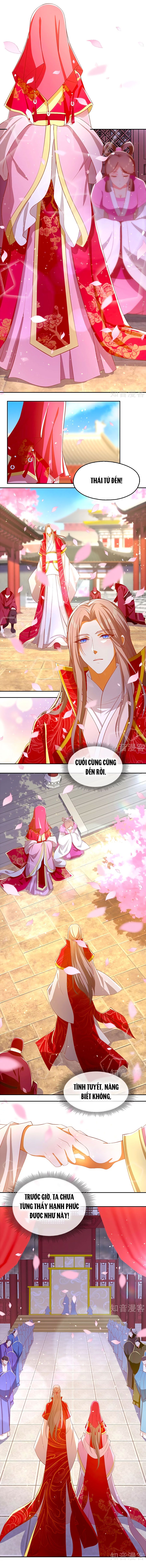 Khuynh Thành Cuồng Phi Của Tà Vương chapter 119 - Trang 7