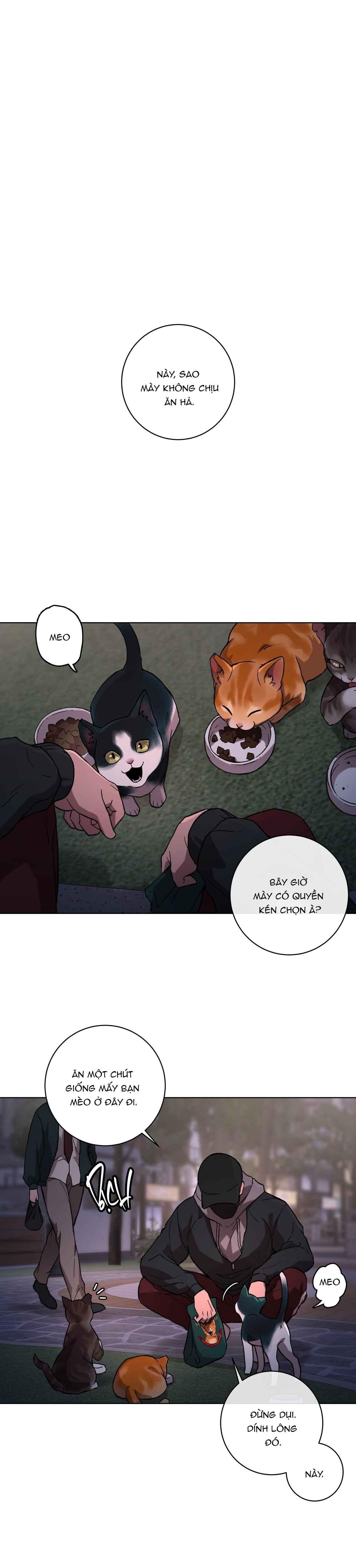 release your persona chapter 1 1