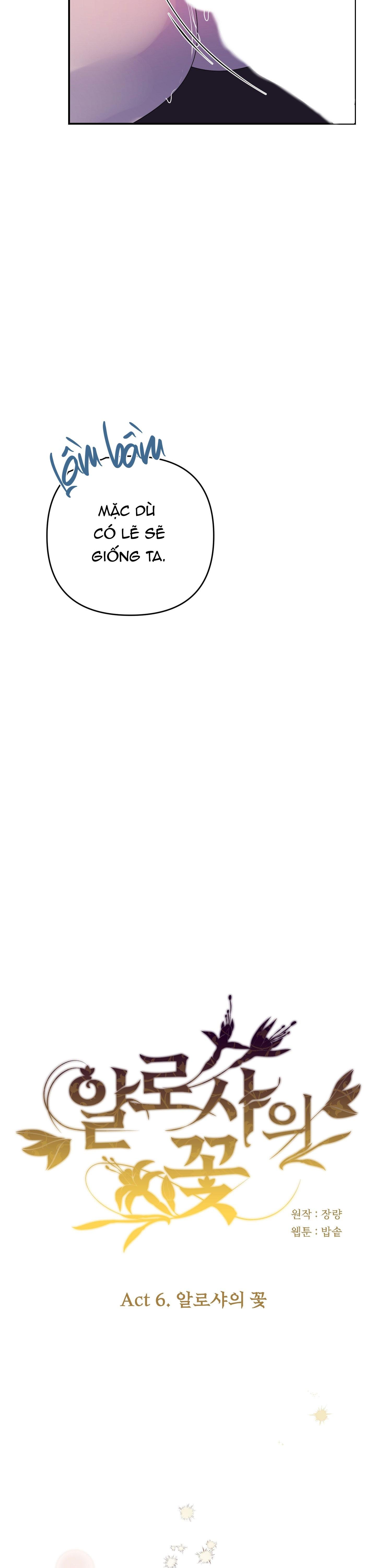 đóa hoa của alosha chapter 31 25