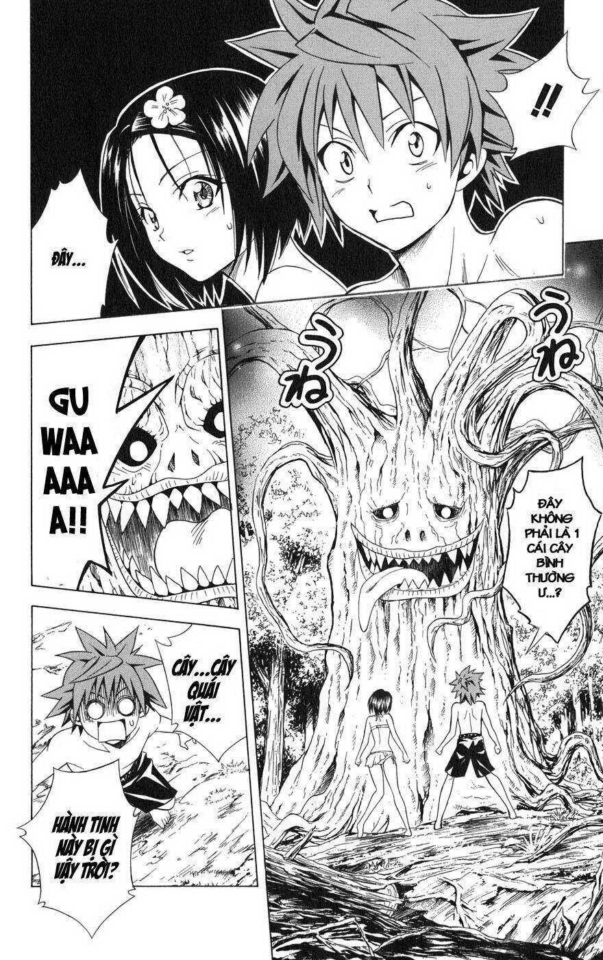 bọn tớ thích cậu! rito chapter 69 12