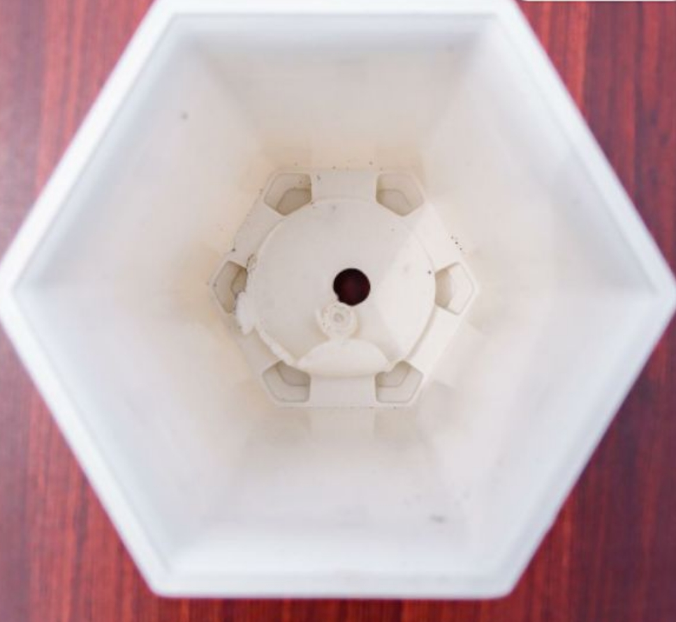 Chậu Nhựa Hoa Văn Trắng Lục Giác 20x15x15