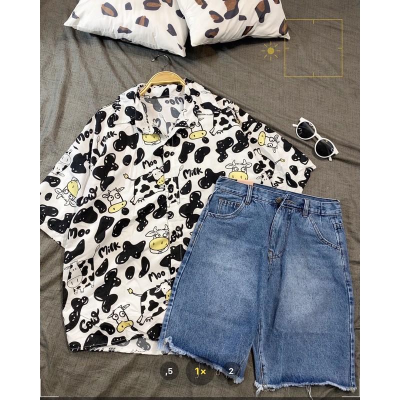 Áo sơ mi con bò sữa