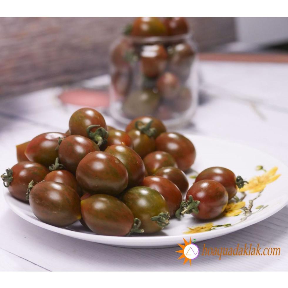 Hạt Giống Cà Chua Bi Socola F1 F1 KNS362 - Gói 30 hạt