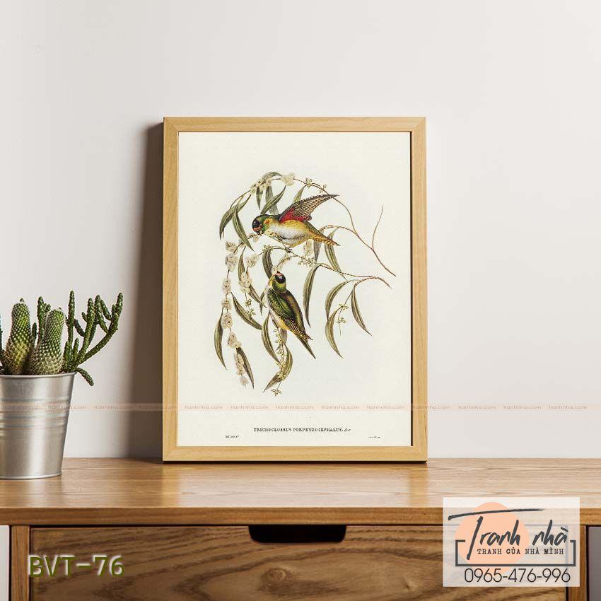 Tranh canvas vintage  - Vẹt (Trichoglossus Porphyrocephalus) - BVT-76