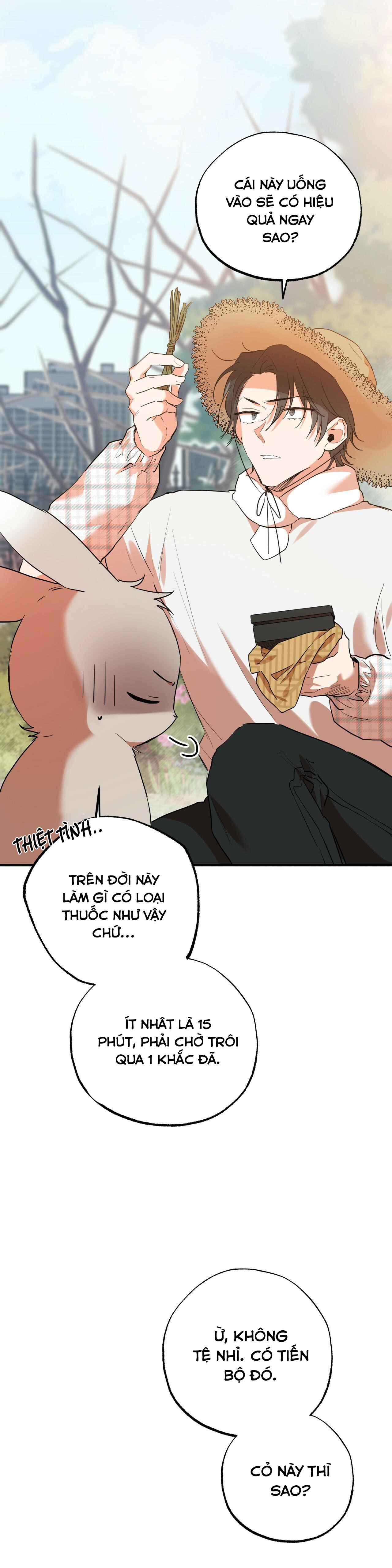 đàn thỏ của habibi chapter 10 31