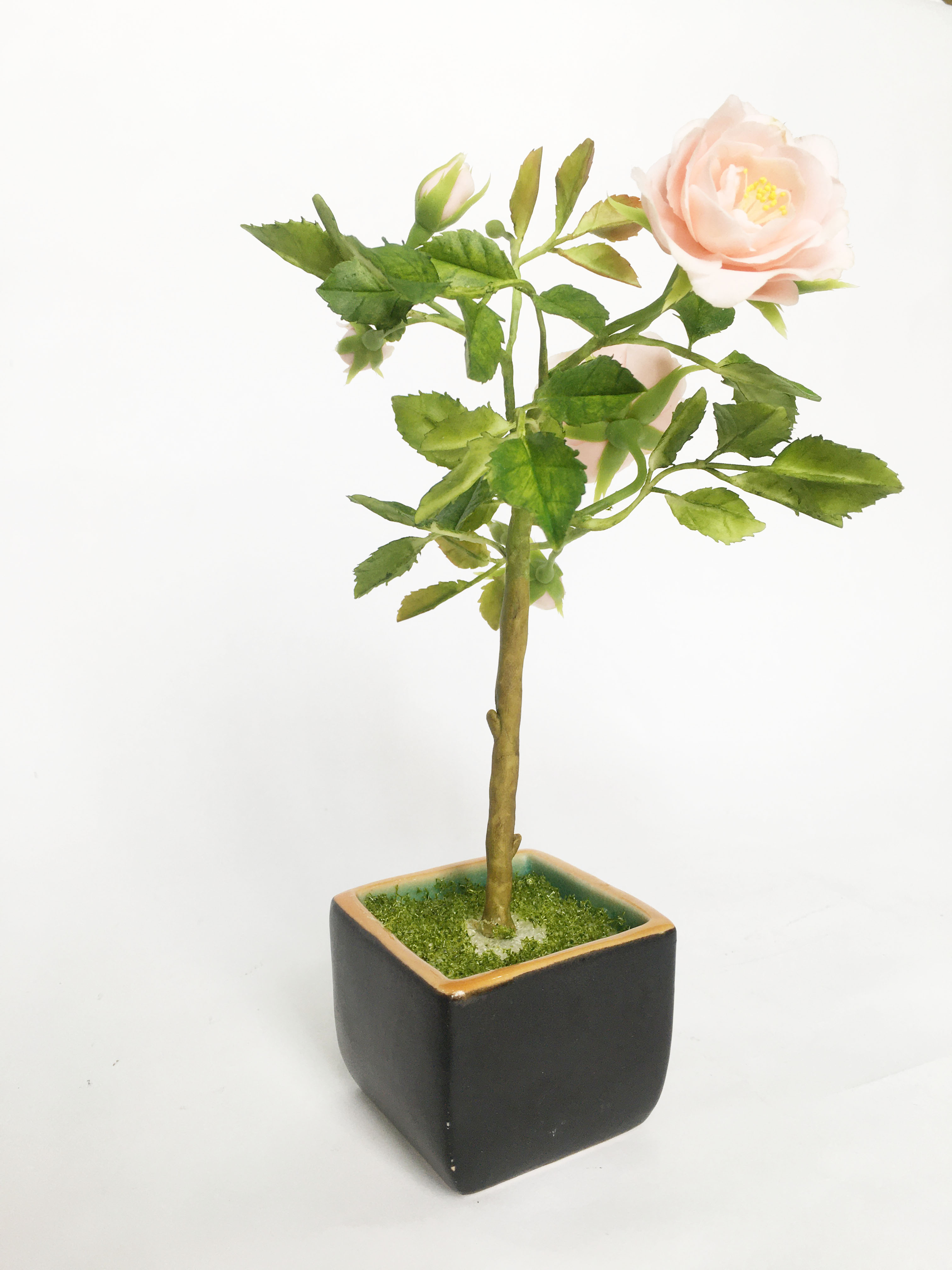 Chậu hoa đất sét mini- Bonsai hoa hồng cổ - Quà tặng trang trí handmade (20x10x10cm)