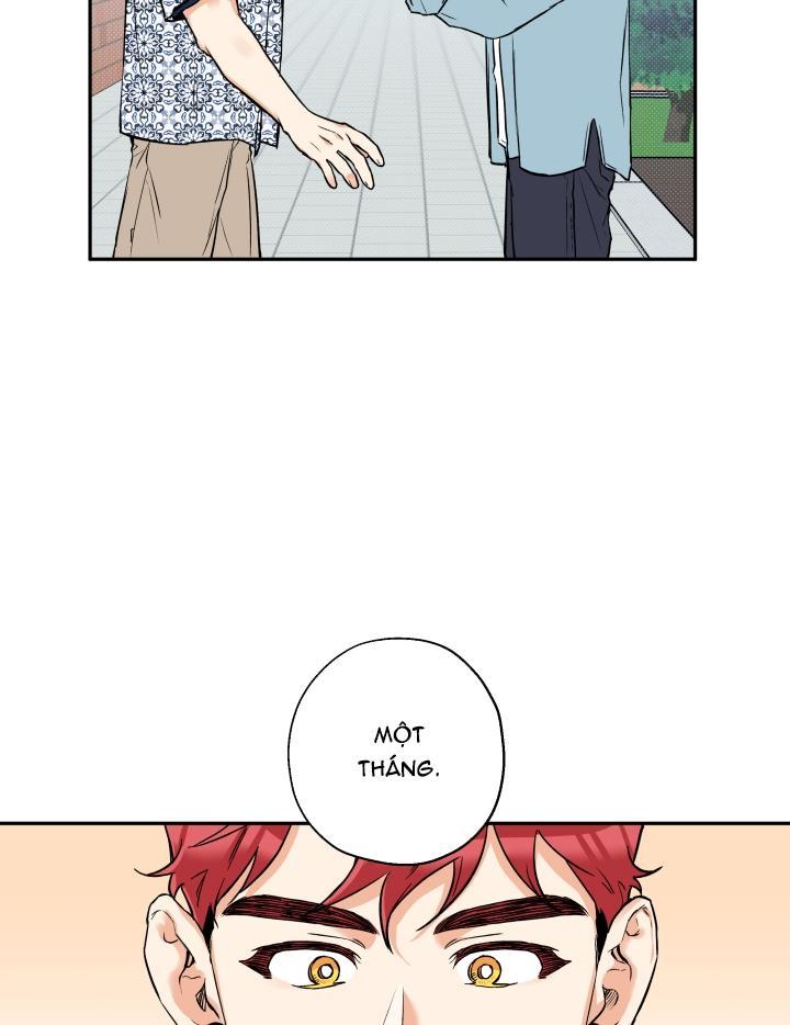 gâu gâu! chapter 29 21